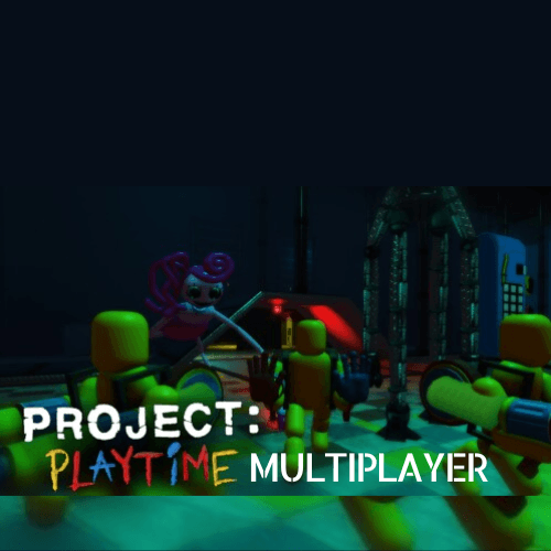 Project Playtime Multiplayer