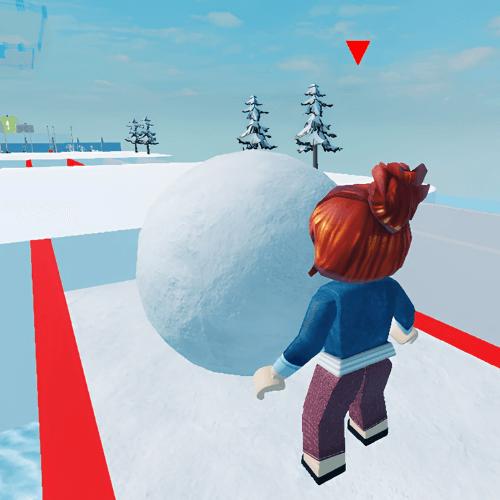 Snow Race